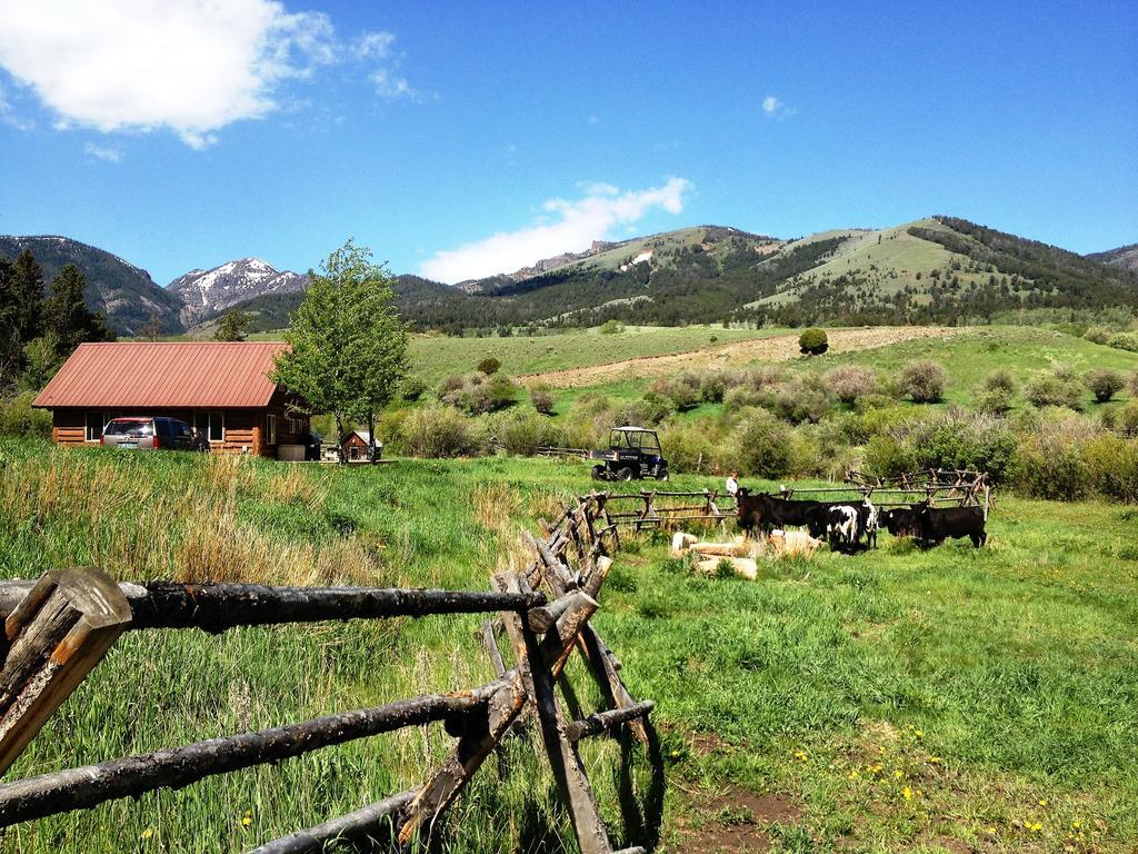 Grandpa'S Cabin การ์ดีเนอร์ ภายนอก รูปภาพ